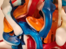 Coloured Sharks (GF)